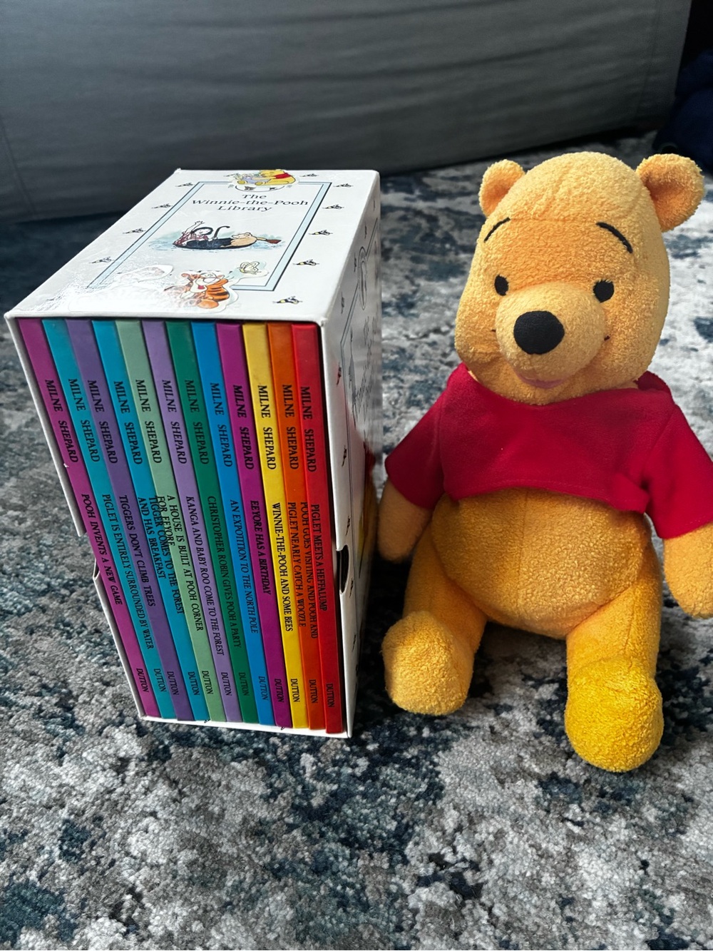 Plush Winnie the Pooh Toy with 12 books